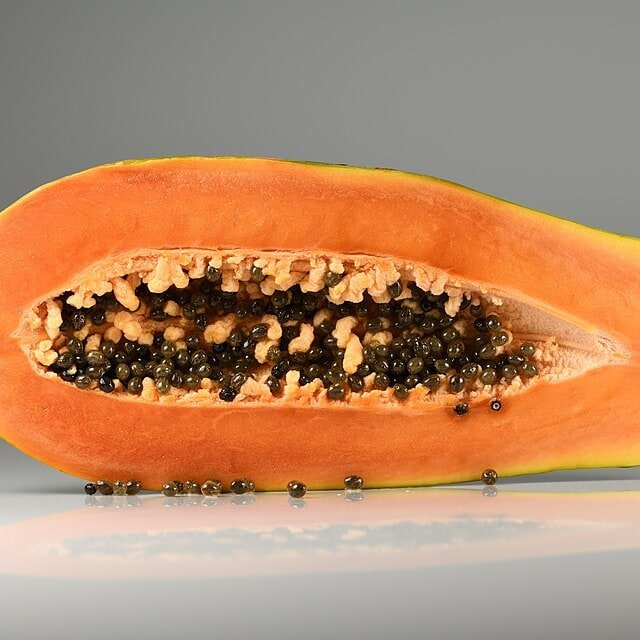 Maradol Papaya