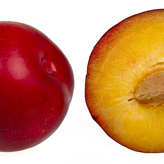 Black Plum
